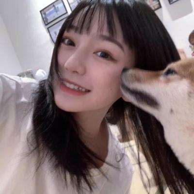 真实卡车驾驶模拟手机版下载